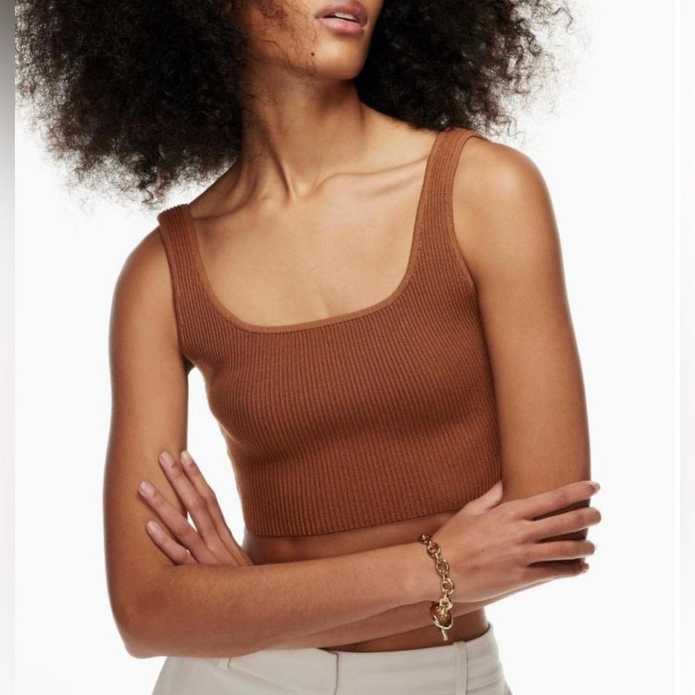 Aritzia Babaton Sculpt Top In Brown Size XS